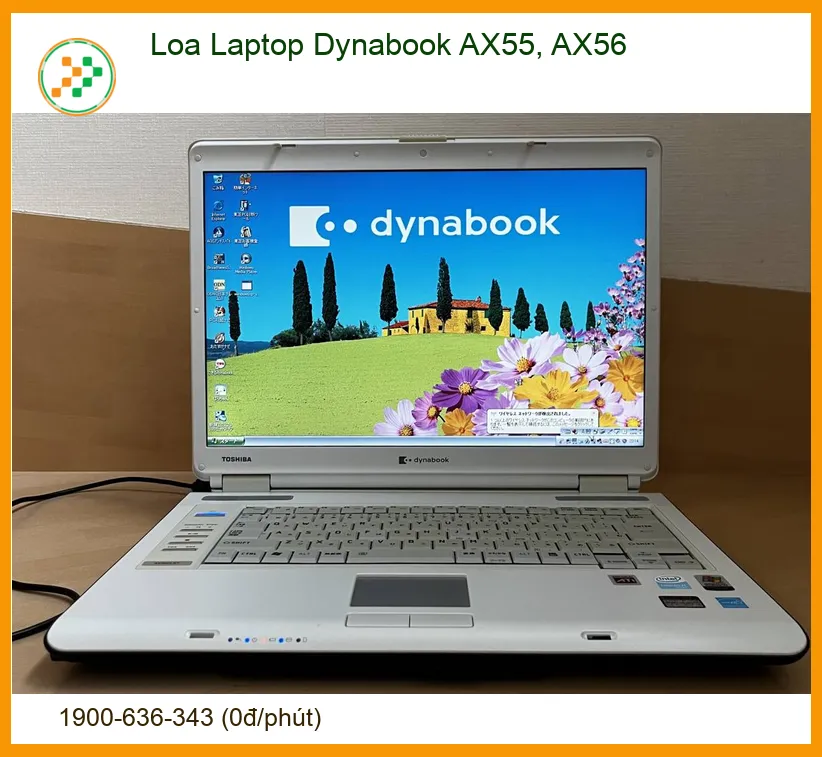 Loa Laptop Dynabook AX55, AX56 Zin - Thay Thế, Sửa Chữa Nhanh Chóng Tại Nhà