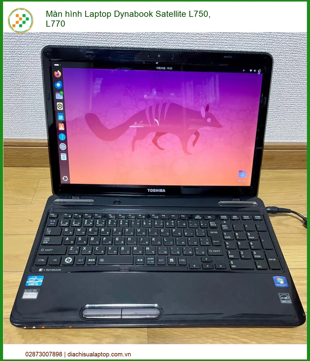 Màn hình Laptop Dynabook Satellite L750, L770 - Thay thế nhanh, chính xác tận nơi
